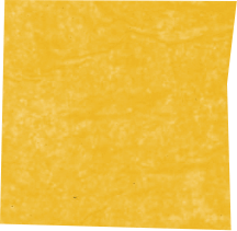 Decorative Tissue Texture