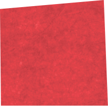 Decorative Tissue Square