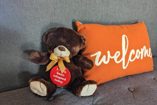 Media (12) Media (12)