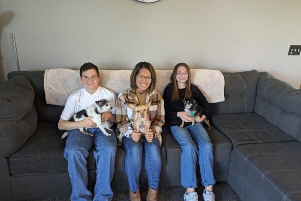 Media (14) Media (14)