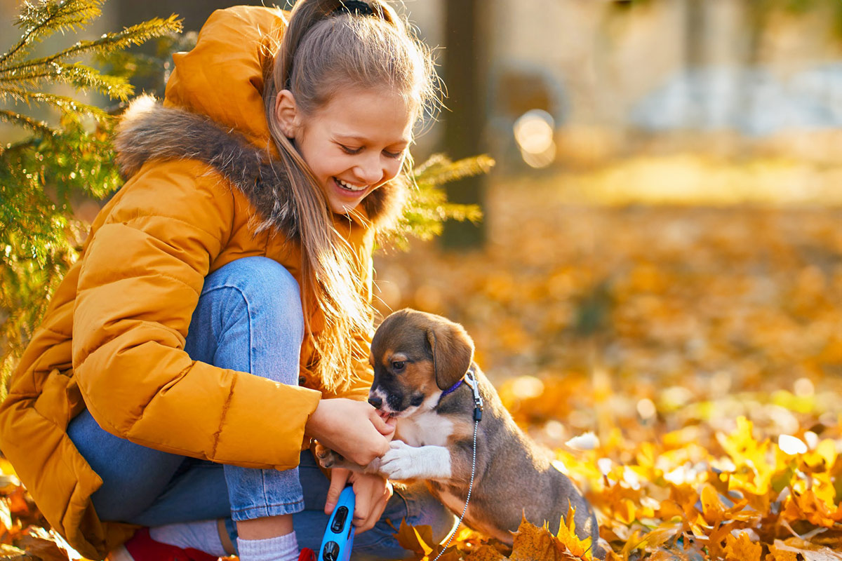 CSInsider Fall 2023 - Cover